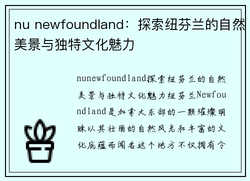 nu newfoundland：探索纽芬兰的自然美景与独特文化魅力